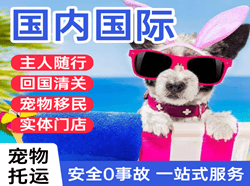 南洋机场货运国际宠物托运 【国